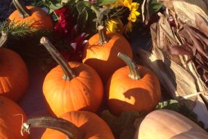 Get Spooky for Halloween with Cowtown Farmer’s Market