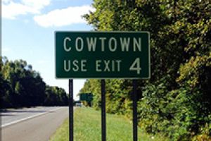 Cowtown Just Outside Woodstown Nj