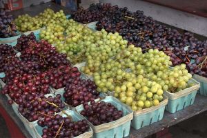 Red green purple grapes