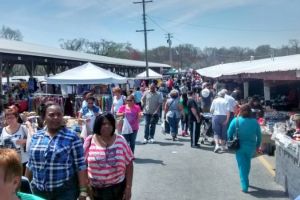 Shoppers At Cowtown Flea Market South Jersey