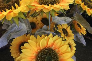 Sunflowers Copy