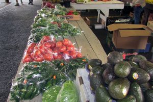 avacados peppers plum tomatoes greenbeans